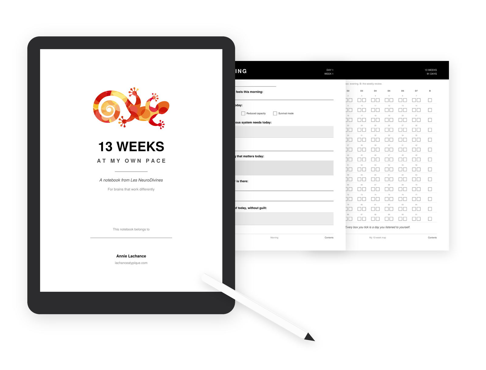 13 weeks ADHD notebook Annie Lachance
